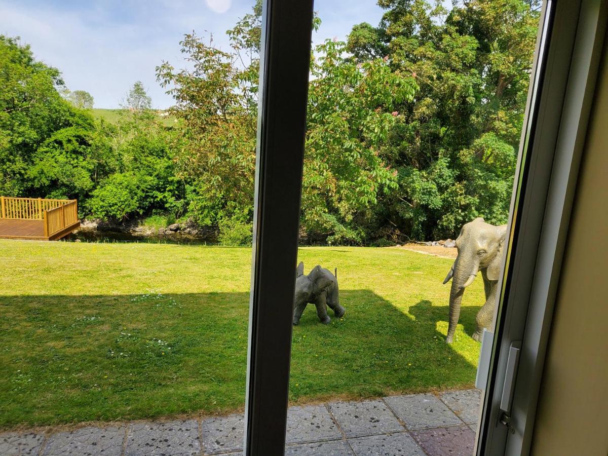 Ardilaun Self Catering Affittacamere Ennis